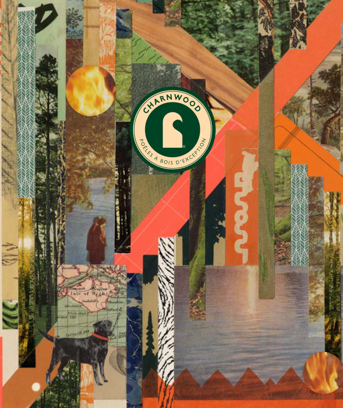 Poêles à bois 2026